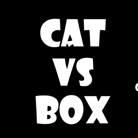 cat_vs-box